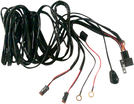 Wiring Harness with Switch