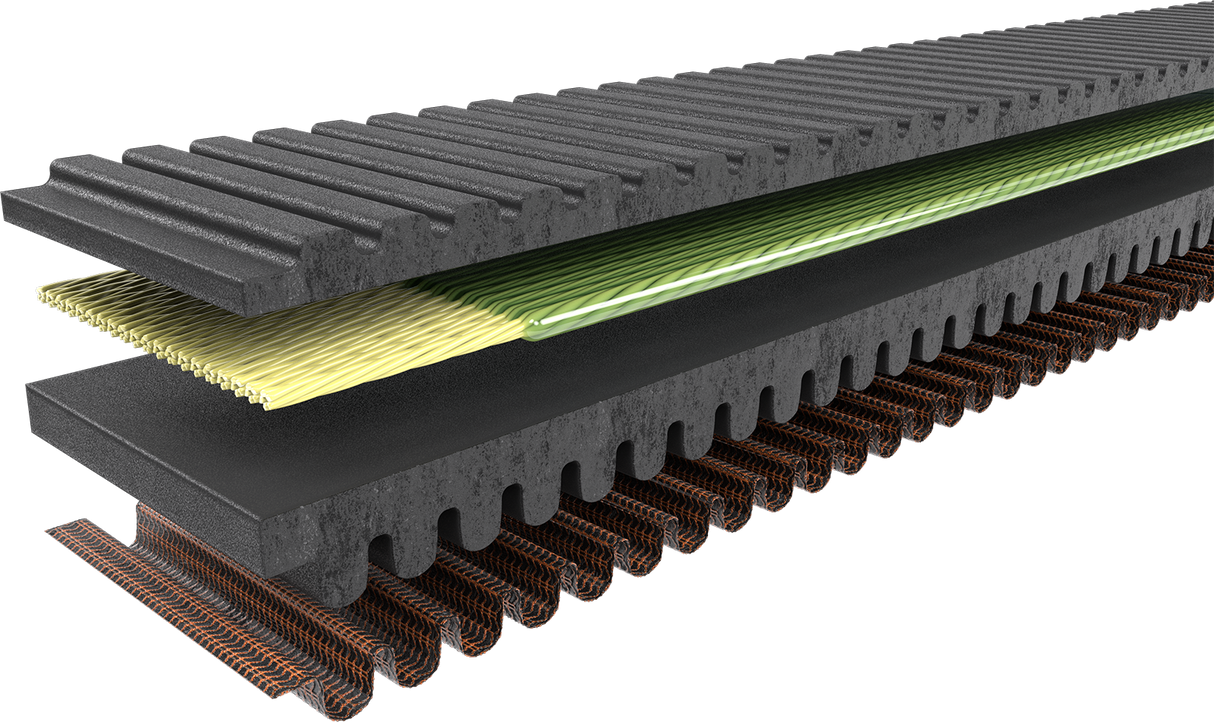 Drive Belt 2015 - 2023