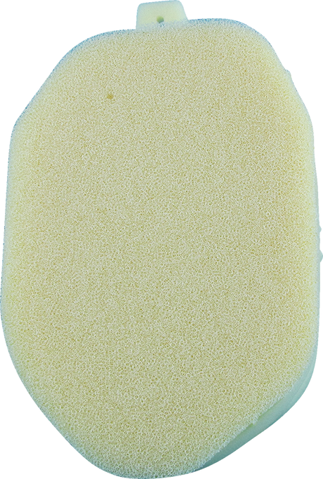 Foam Air Filter - Kawasaki 2024 - 2025