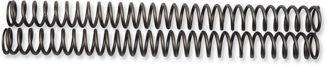 Fork Springs - 0.46 kg/mm 2014 - 2024