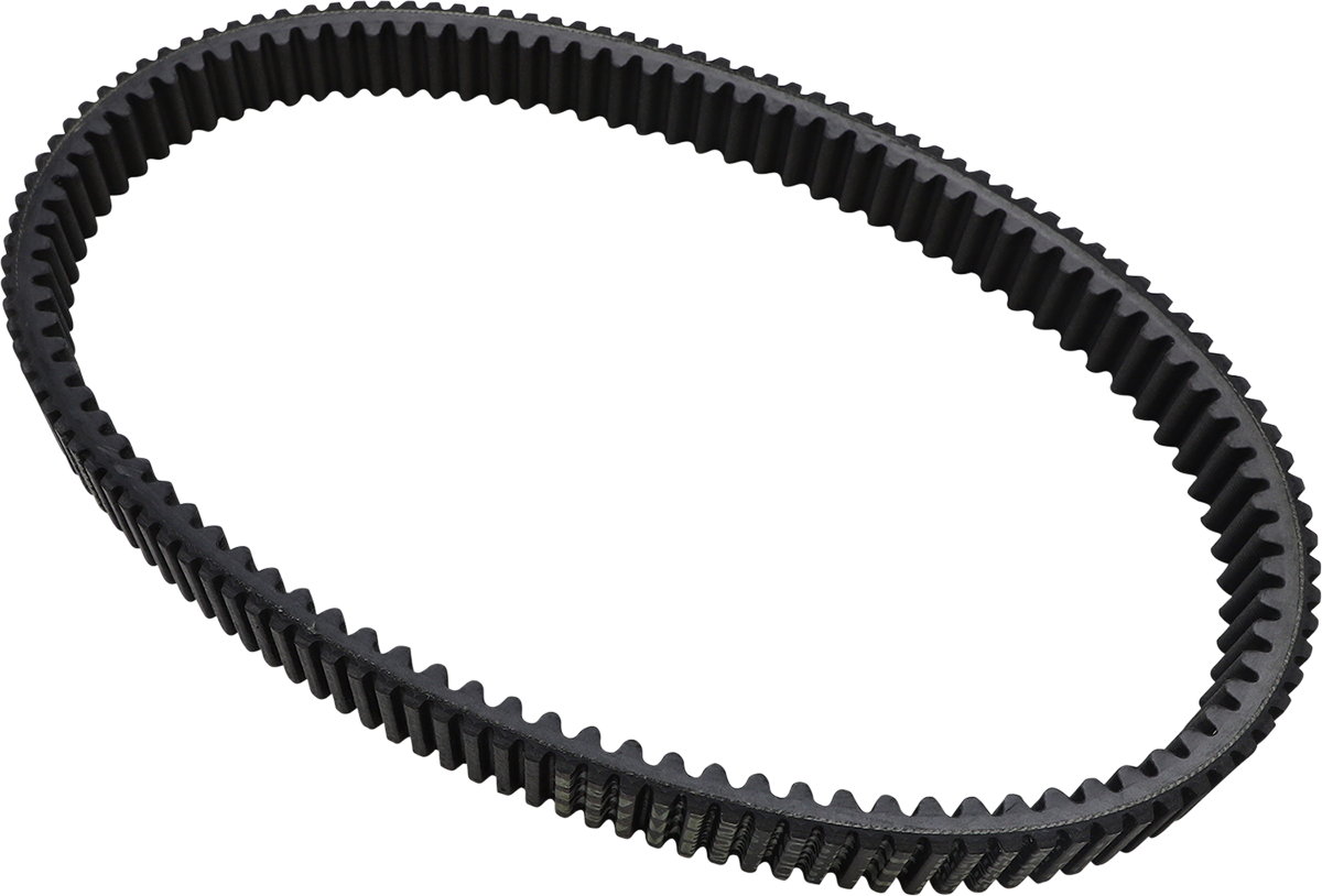 Drive Belt 2016 - 2023