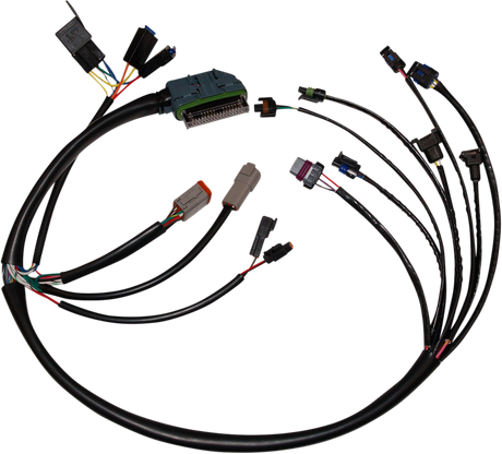EFI - Harness 2002 - 2005