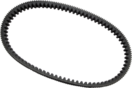 Drive Belt 2002 - 2022