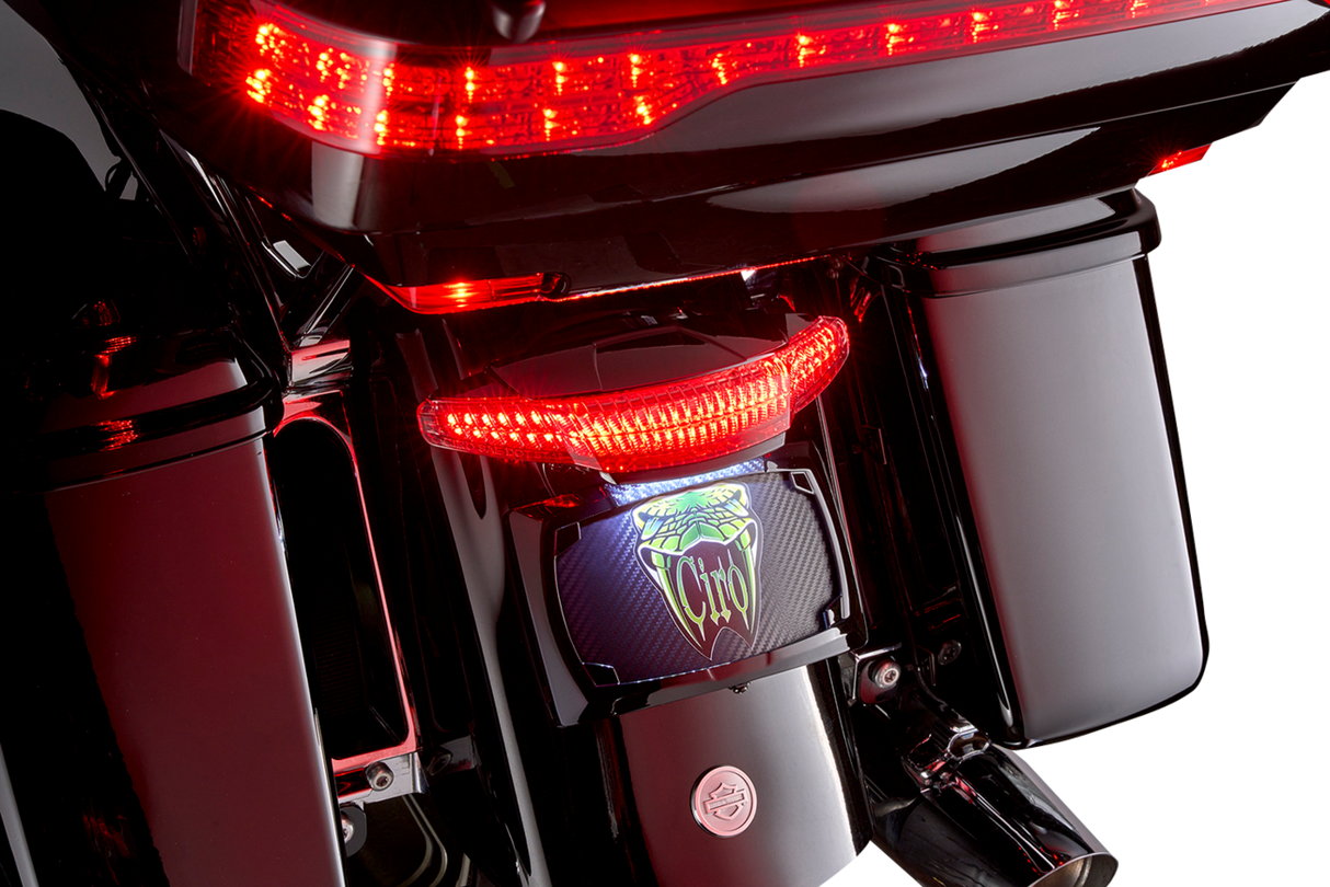 Taillight/License Plate Mount - Smoke Lens - Black 2014 - 2023