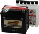 AGM Battery - YTX5L-BS 1987 - 2016