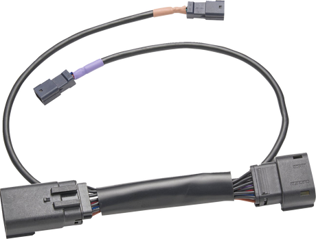 Wire Harness - Harley Davidson 2023 - 2024