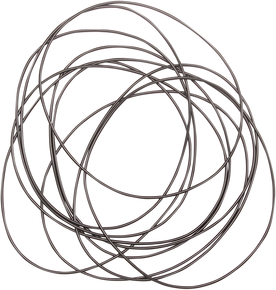 Primary Case O-Ring 1982 - 2006