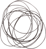 Primary Case O-Ring 1982 - 2006