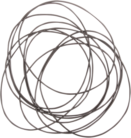 Primary Case O-Ring 1982 - 2006