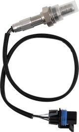 O² Sensor - Polaris 2018 - 2024