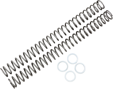 Fork Springs - 0.48 kg/mm 2005 - 2005
