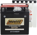 AGM Battery - YTX14-BS 1986 - 2013