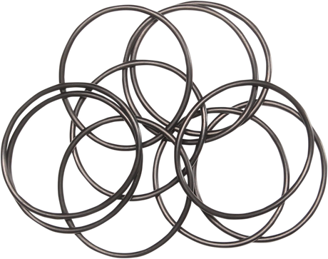 Outer Oil Pump O-Ring 1999 - 2006