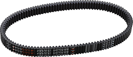 Drive Belt 2001 - 2010