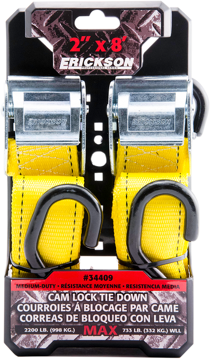 Cam-Lock Tie-Downs - 2\" x 8\'