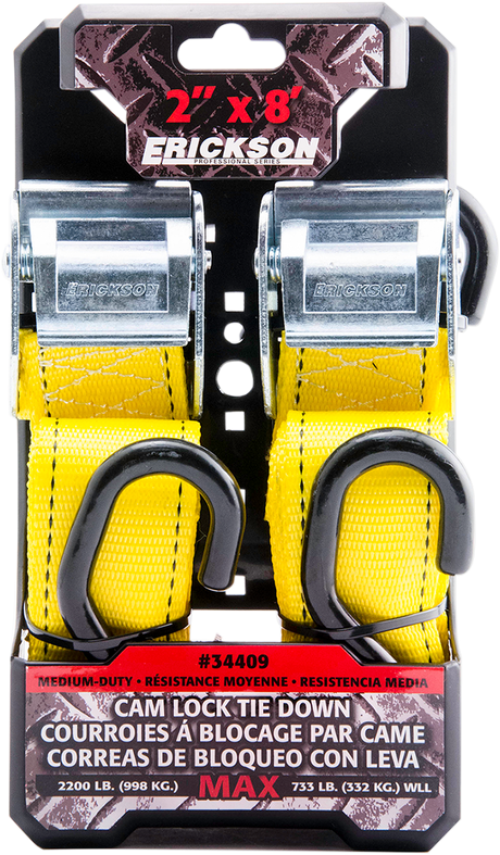 Cam-Lock Tie-Downs - 2\" x 8\'