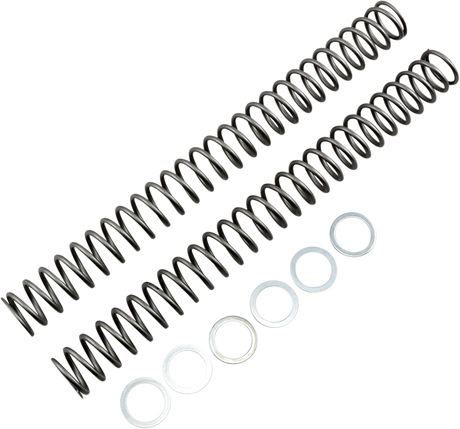 Fork Springs - 0.42 kg/mm 2020 - 2022