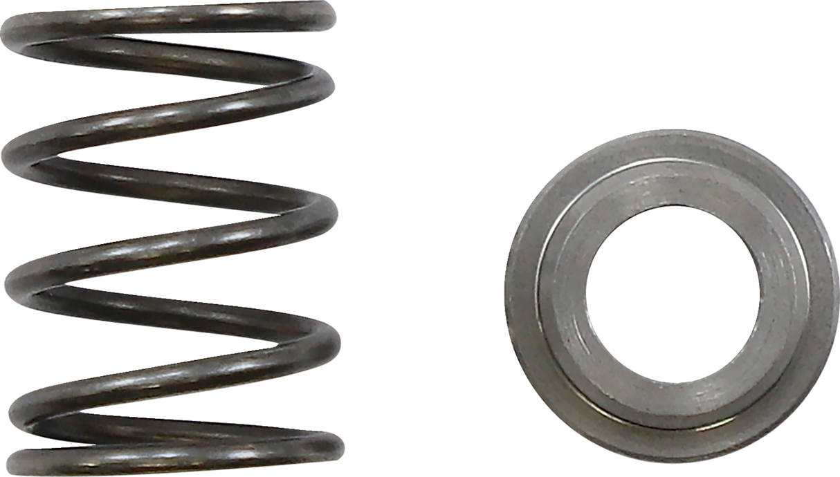 Adjuster Spring - High Speed - Long 2006 - 2022