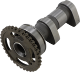 Camshaft 2008 - 2012