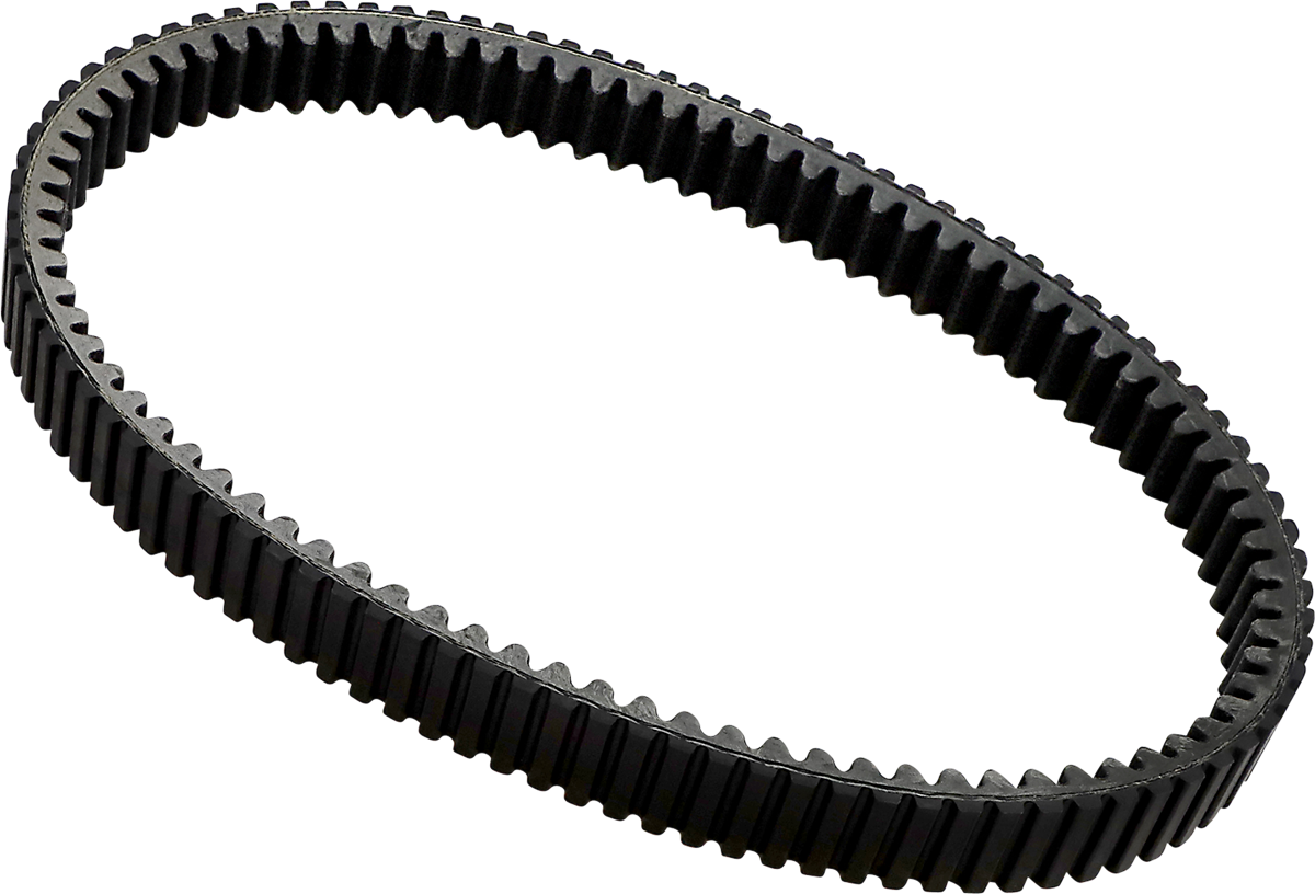 Drive Belt 2002 - 2022