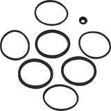 Caliper Seal Kit - FLT 2008 - 2022