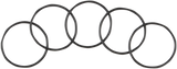 Starter to Primary Case O-Ring - 5 Pack 1999 - 2024