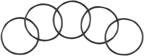 Starter to Primary Case O-Ring - 5 Pack 1999 - 2024
