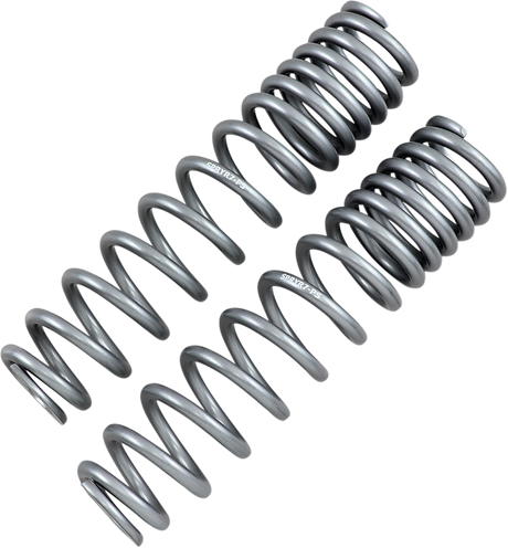 Rear Shock Springs - Silver 2009 - 2020