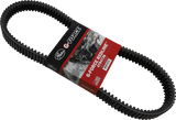 Drive Belt 2021 - 2023