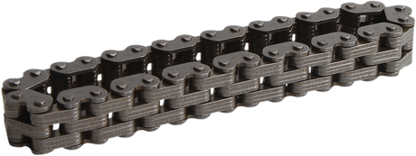 Transaxle Reverse Chain 1993 - 2010