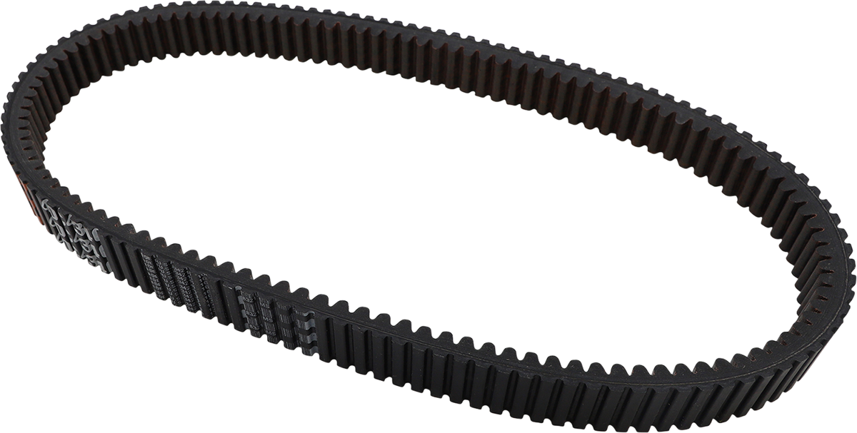 Drive Belt 1998 - 2022