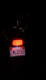Taillight - with License Plate Illumination Window - Smoke 1988 - 2024