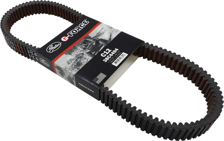 Drive Belt 2012 - 2019