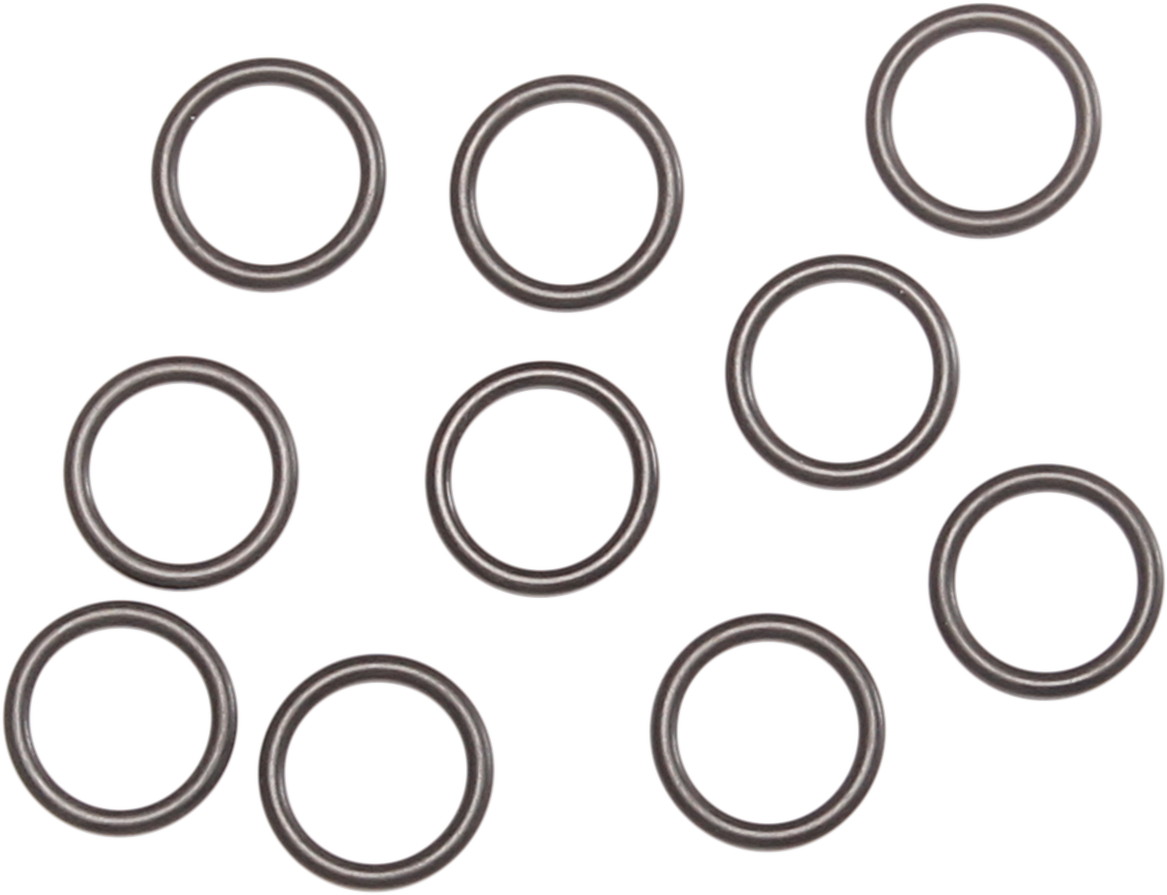 Rocker Arm Support O-Ring 2000 - 2017