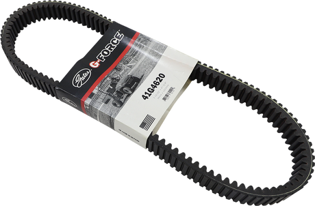 Drive Belt 2014 - 2019