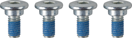Bolts - Rotor/High Tensile - Front/Rear - 4 Pack 1991 - 2025