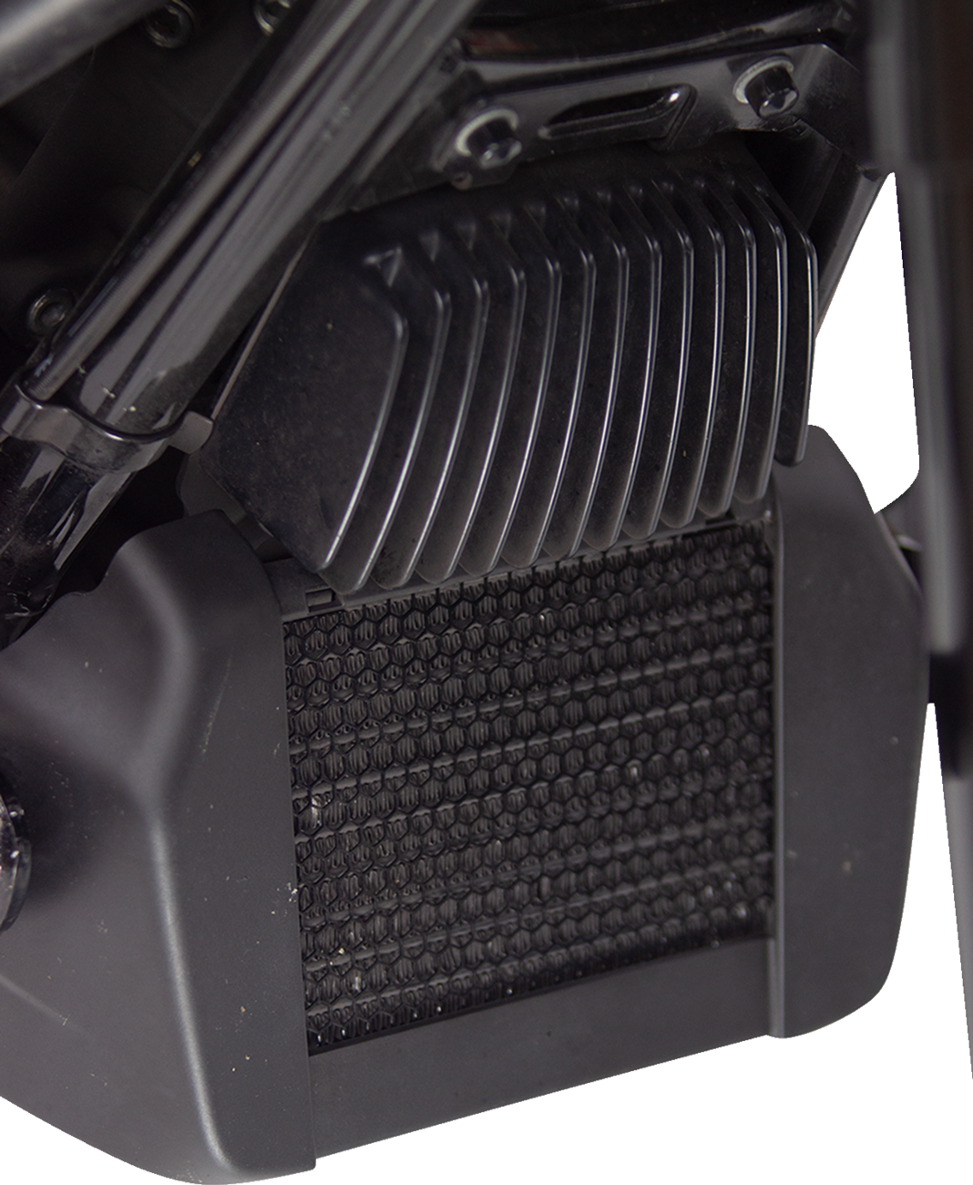 Oil Cooler Guard - Black - Touring 2017 - 2023