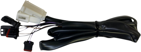 Taillight Harness - Low Rider 2018 - 2024