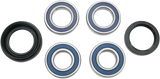 Wheel Bearing Kit - Rear - ATC 250/TRX 250/350 1985 - 1989