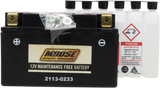 AGM Battery - YTZ10S 2005 - 2007