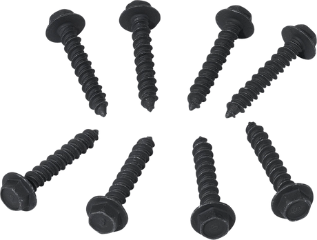 Clutch Cover Screw - Polaris 2013 - 2021