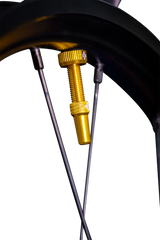 Tubeless Valve Stems - Gold