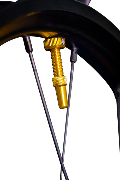 Tubeless Valve Stems - Gold