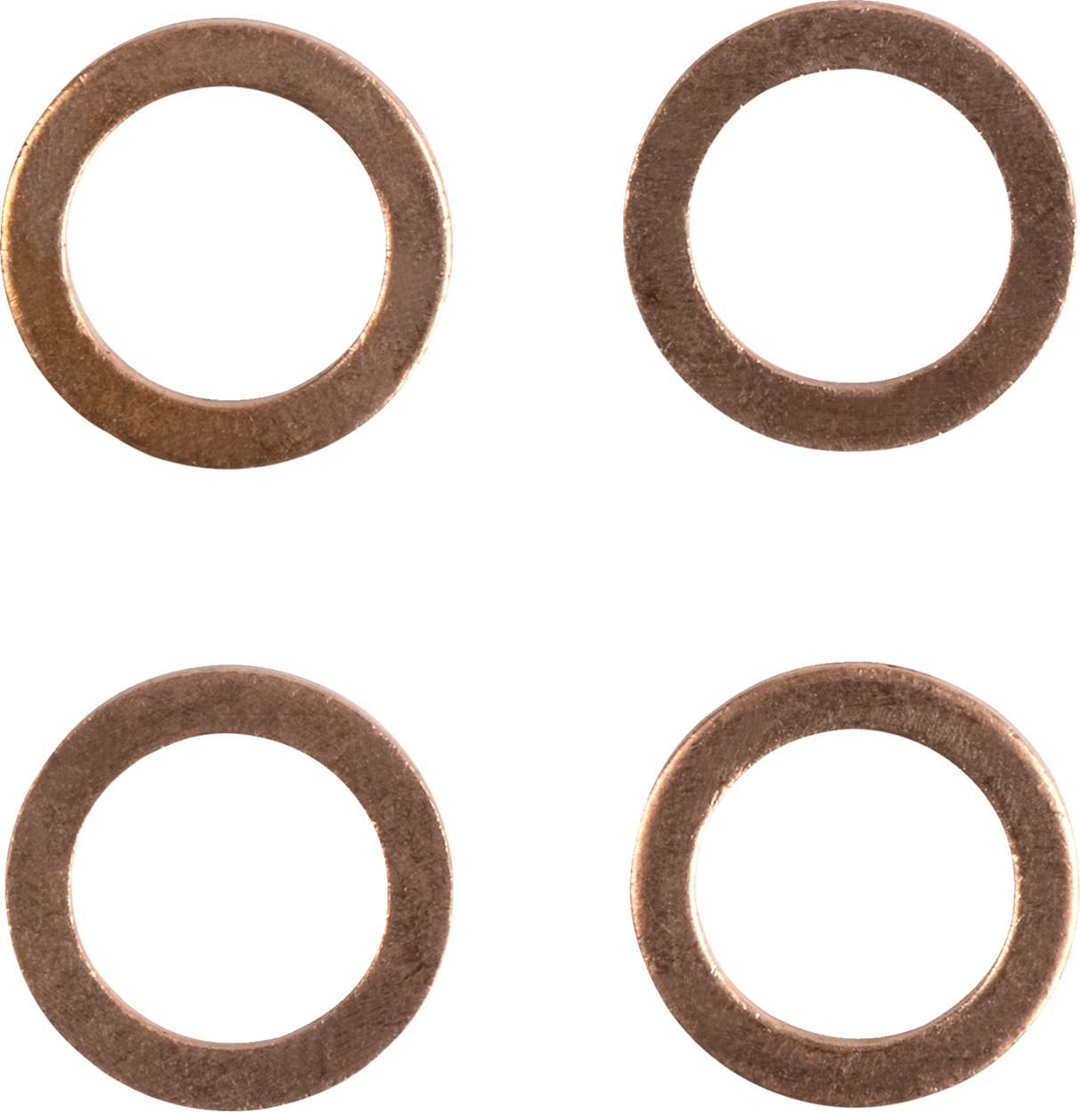 Brake Line - Stainless Steel 2023 - 2025