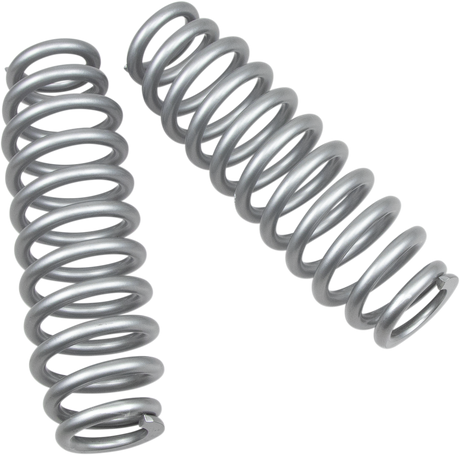 Rear Shock Springs - Silver 2013 - 2023