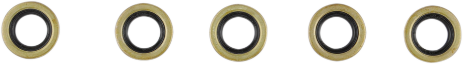 Starter Shaft Seal - EVO 1994 - 1999