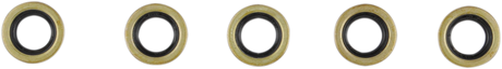 Starter Shaft Seal - EVO 1994 - 1999