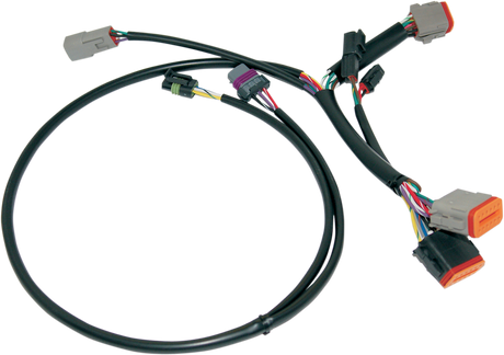 Ignition Wiring Harness - Harley Davidson 2001 - 2001