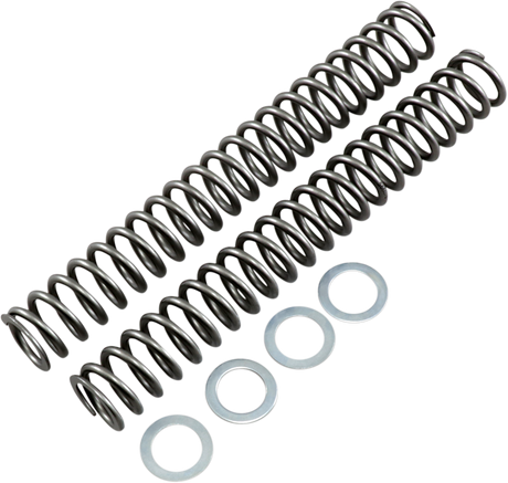 Fork Springs - 1.00 kg/mm 2018 - 2023