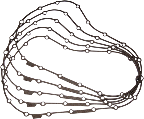 Primary Gasket 2004 - 2020